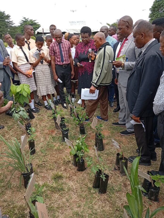 FB_IMG_1761738328604