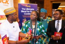 Pinnick Foods Showcases Nigerian Flavour, Unveils Instant Party Jollof Blend at Canada-Africa Summit