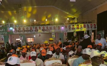 Experts Advocate Constructive Youth Engagement at Soft Nigeria Inauguration